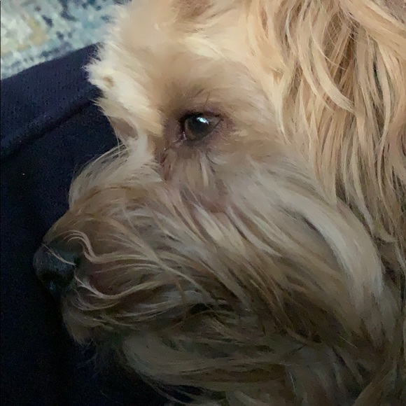 Meet your Posher, Michael - Picture 1 of 1